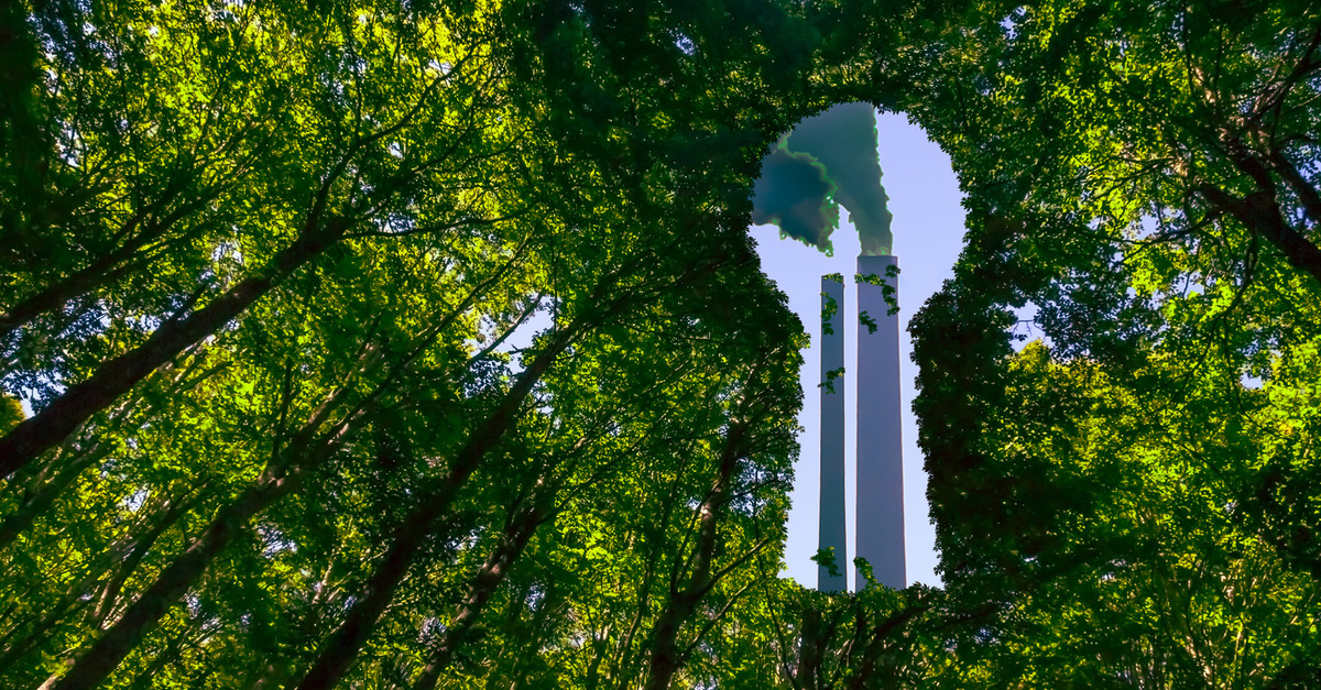 Greenwashing: The Emerging Liability Landscape | FTI