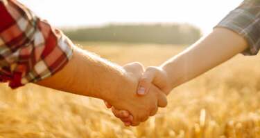 Close-up of two people shaking hands in a golden wheat field.