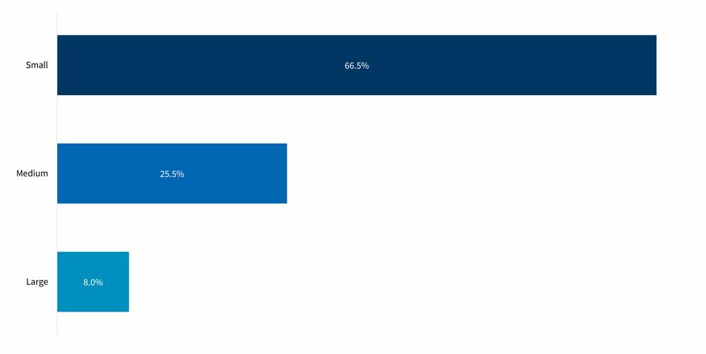 Share of Deals by Transaction Size Fig 5