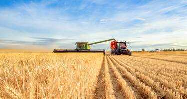 Aerial View of a Housing Society