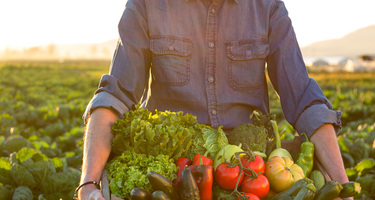 Man Carrying Basket of Mixed Vegetables