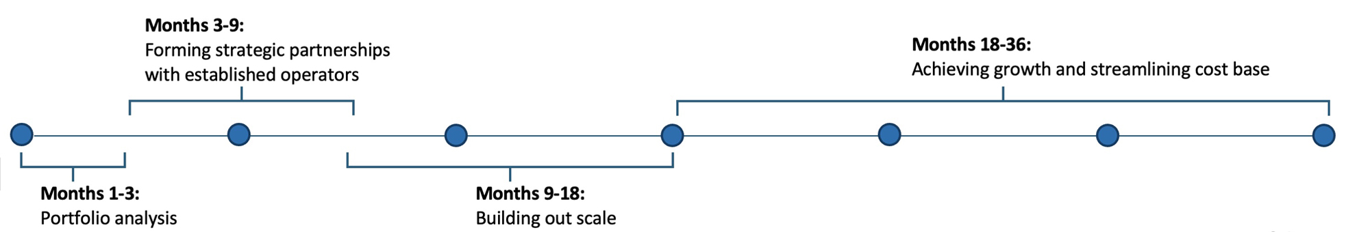 36-month plan: analysis, partnerships, scaling, growth.