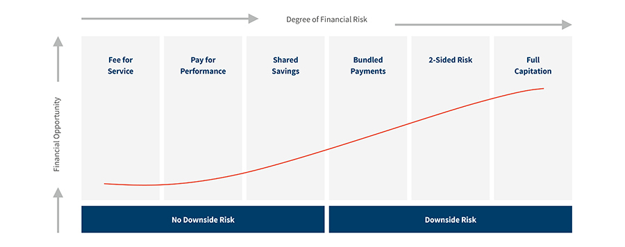 Financial Risk to Providers