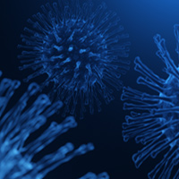 COVID-19 Support by Industry