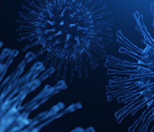 COVID-19 Support by Industry